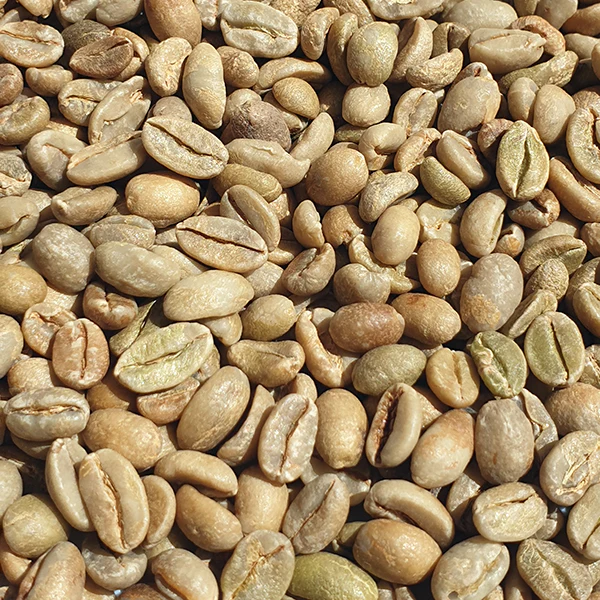 Gujji Coffee Beans