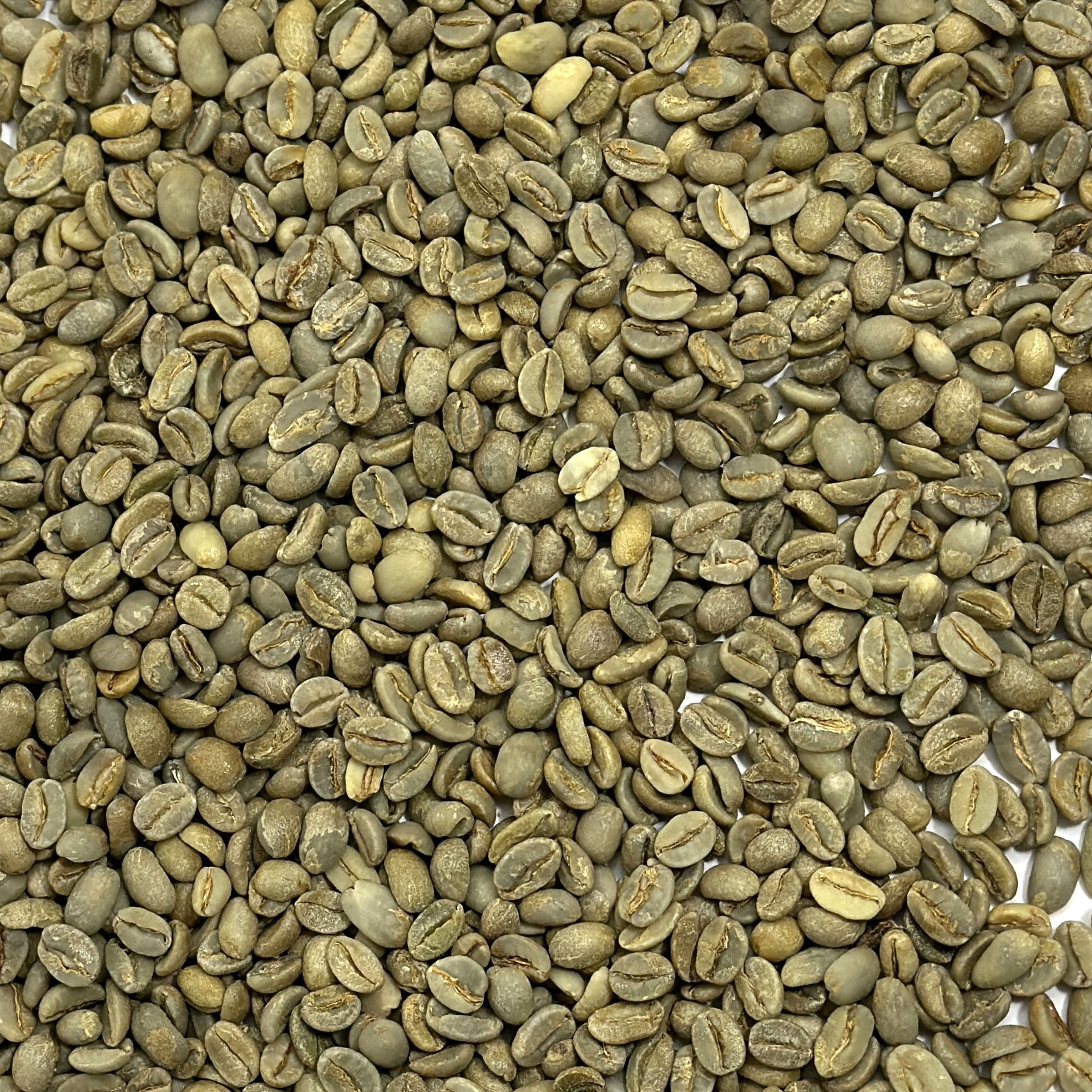 Harar Coffee Beans