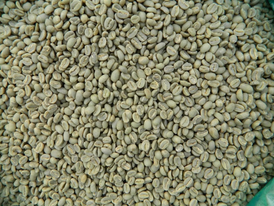 Nekemt Coffee Beans