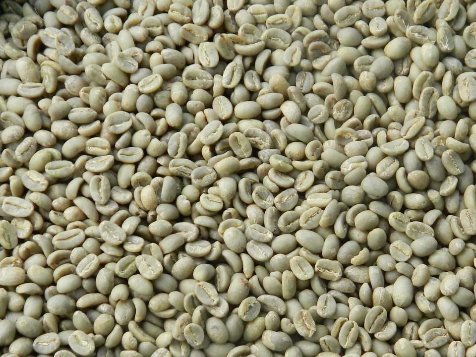 Sidama Coffee Beans